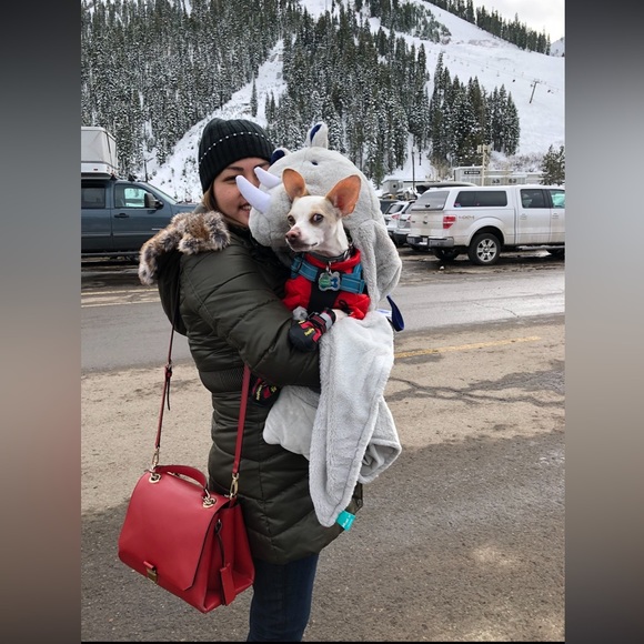 Miu Miu bag - Picture 5 of 9